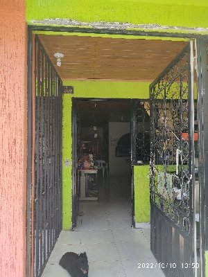 CONFECCIóN TEHINA