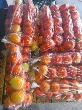 tomate